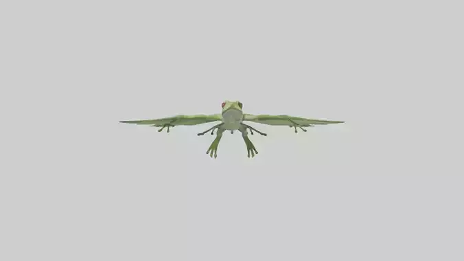 Gliding Frog soaring model Low-poly 3D model