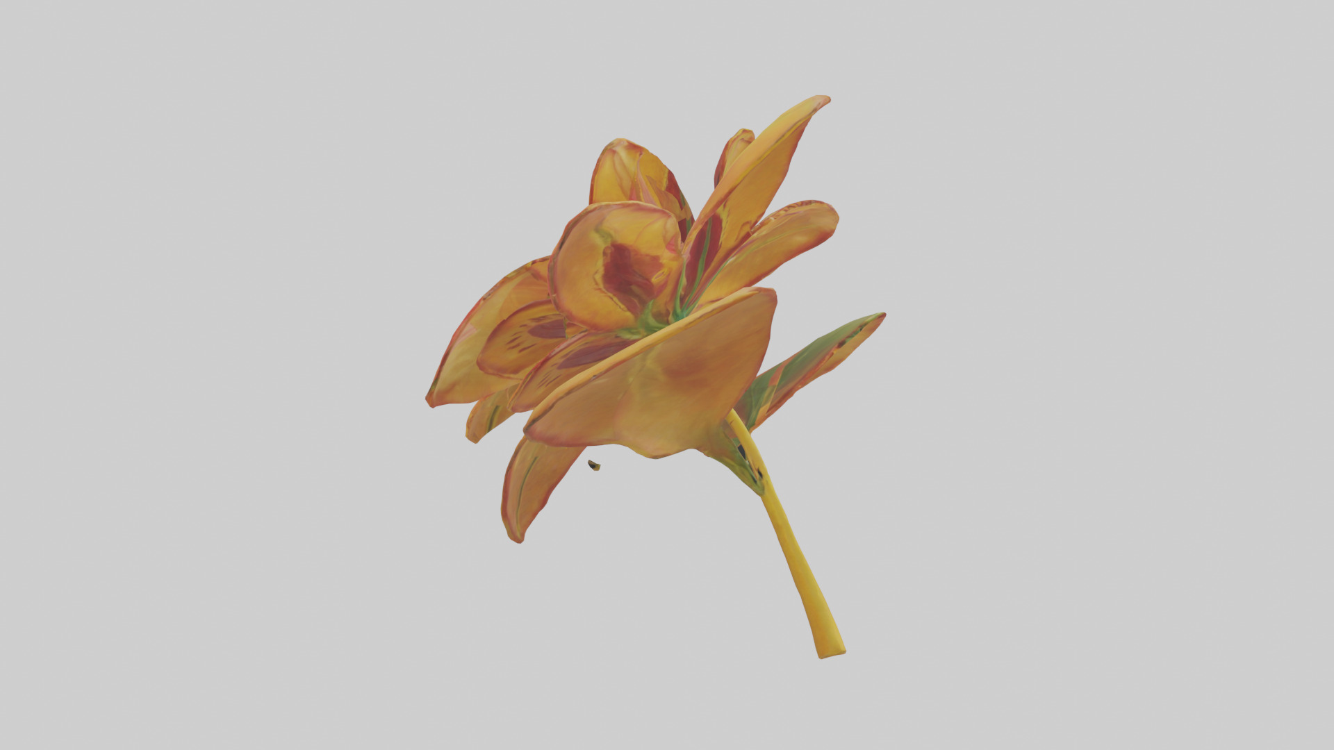 Gloriosa flower model Low-poly 3D model_13