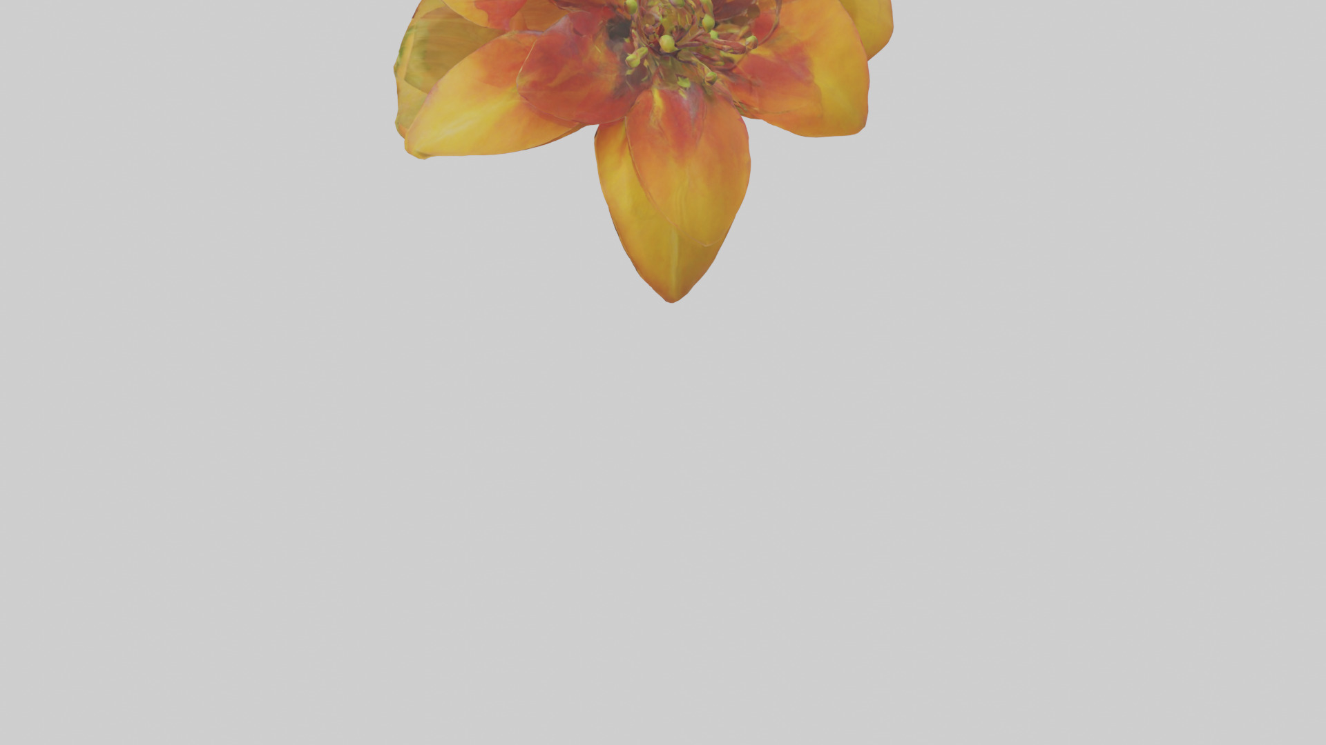 Gloriosa flower model Low-poly 3D model_3