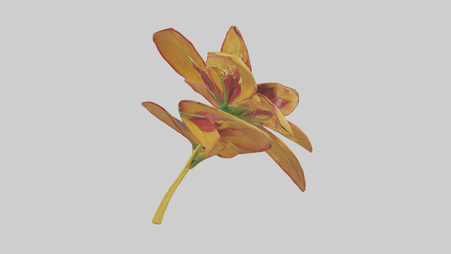 Gloriosa flower model Low-poly 3D model_10