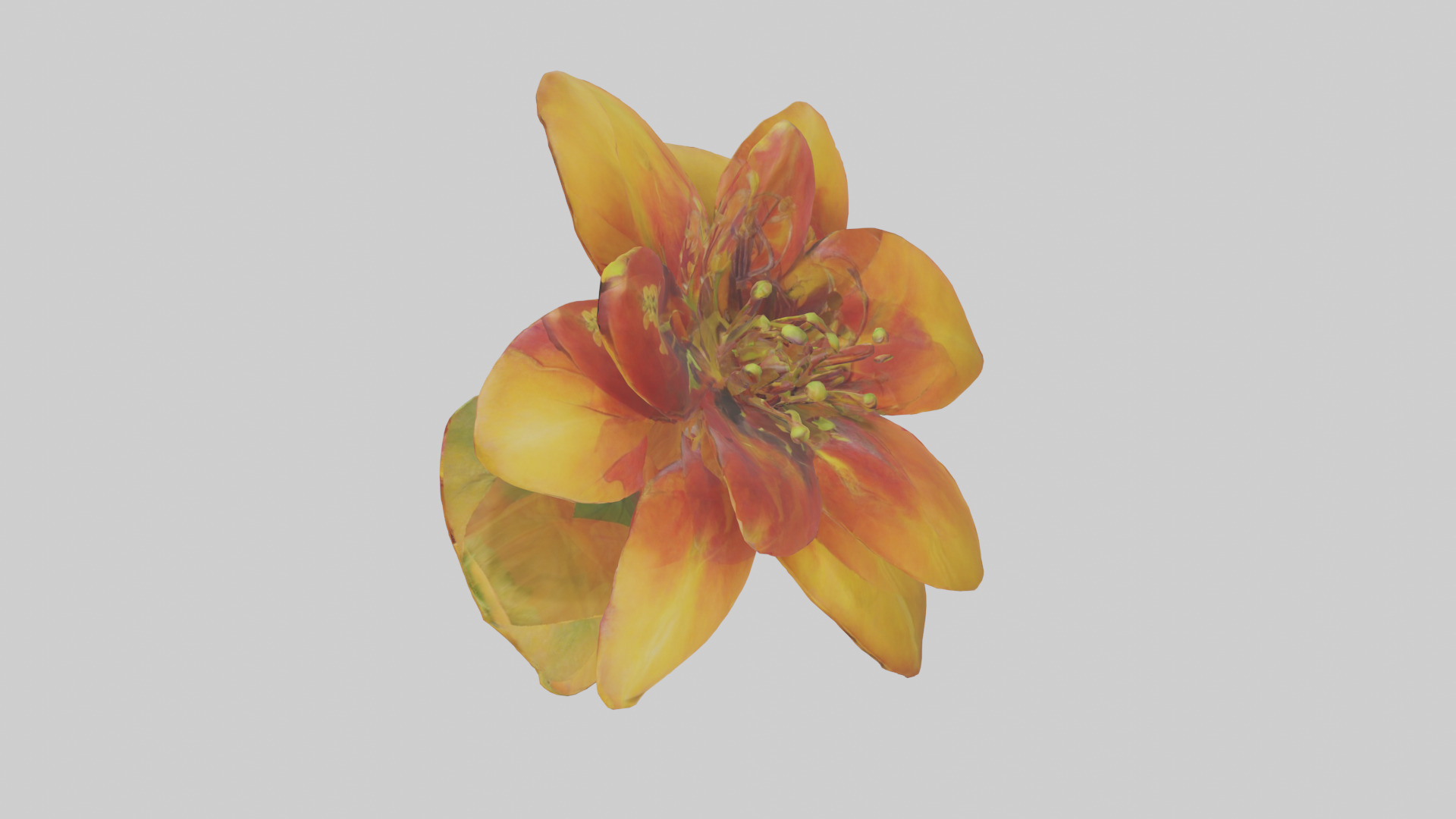 Gloriosa flower model Low-poly 3D model_17