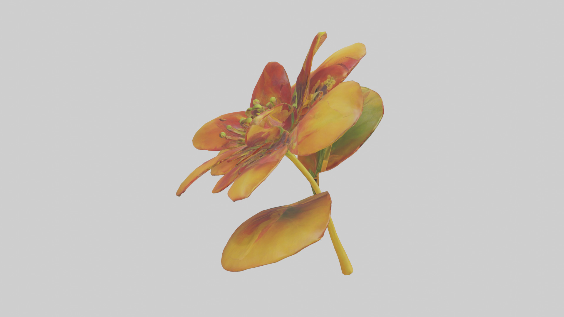 Gloriosa flower model Low-poly 3D model_18