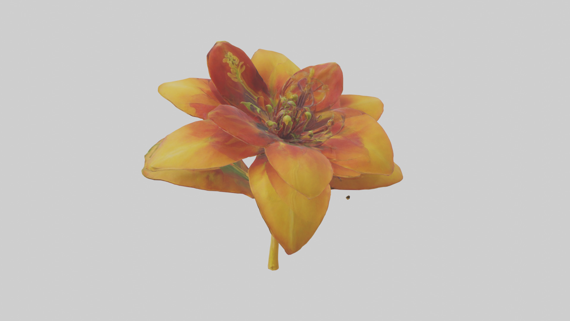 Gloriosa flower model Low-poly 3D model_1