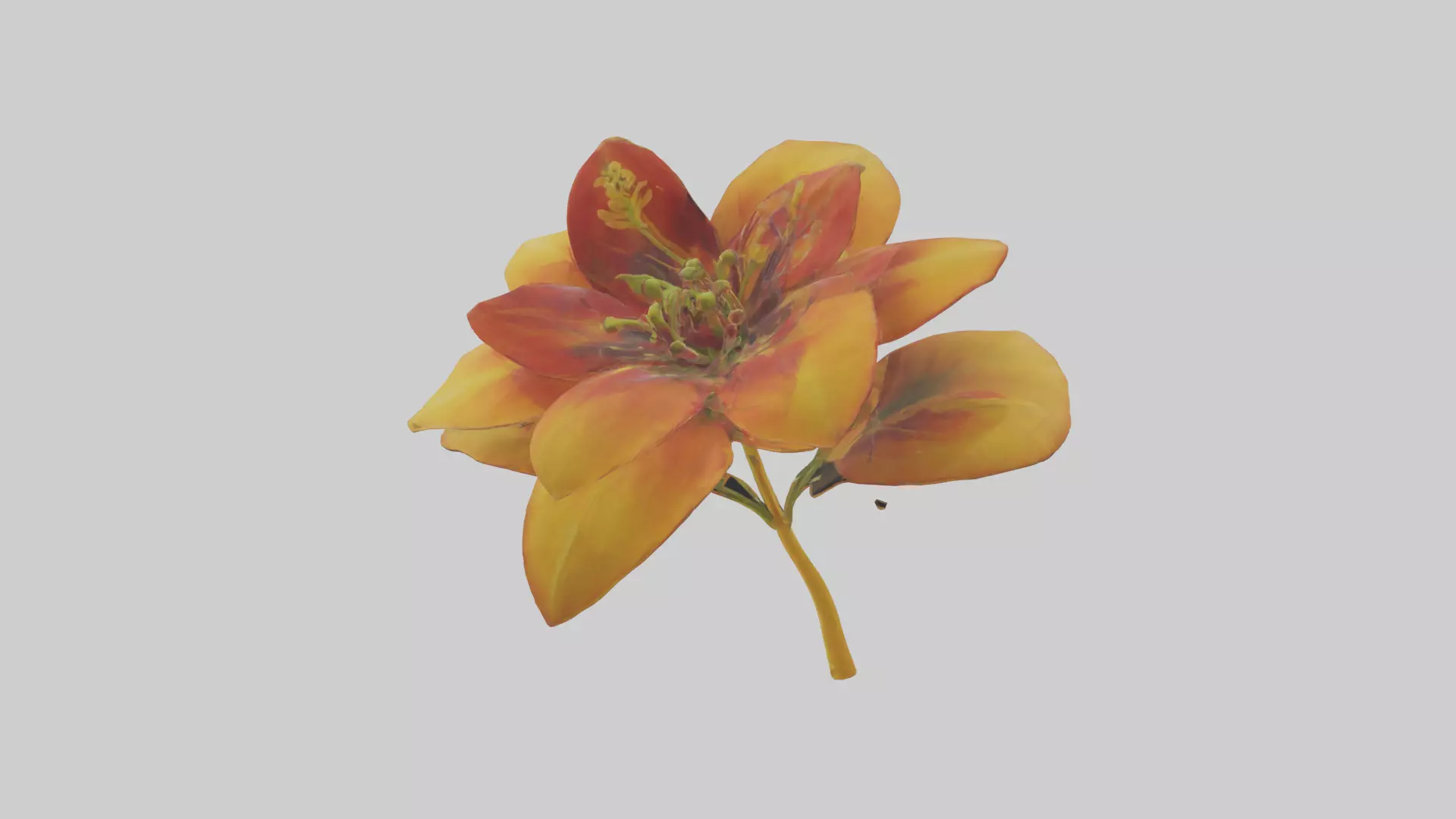 Gloriosa flower model Low-poly 3D model_0