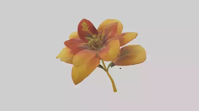 Gloriosa flower model Low-poly 3D model