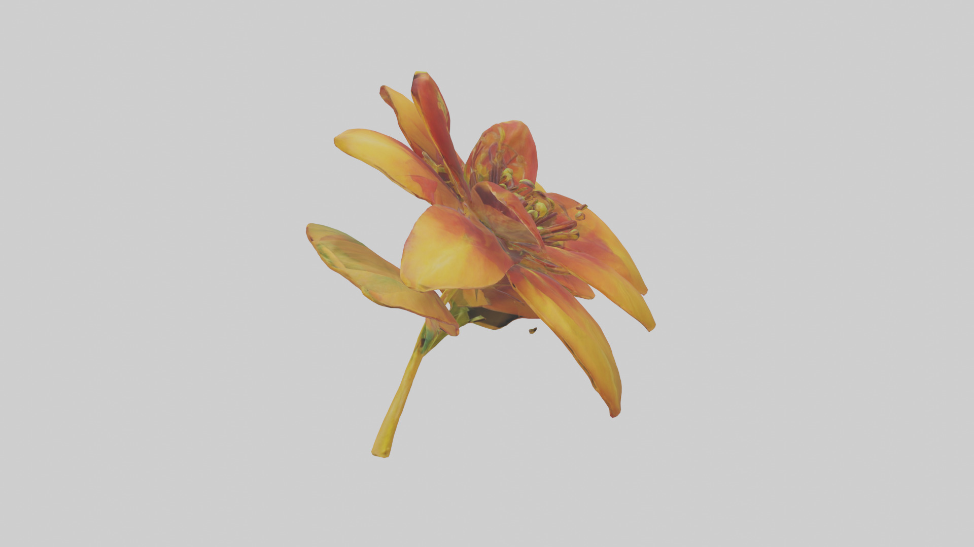 Gloriosa flower model Low-poly 3D model_12