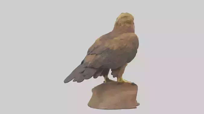 Golden Eagle perched model