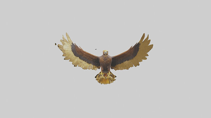 Golden Eagle Wings Model Low-poly 3D model