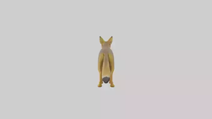 Golden Jackal standing model