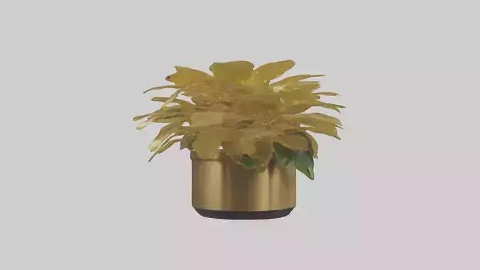 Golden Maranta model Low-poly 3D model