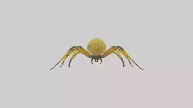 Golden OrbWeaver weaving web model