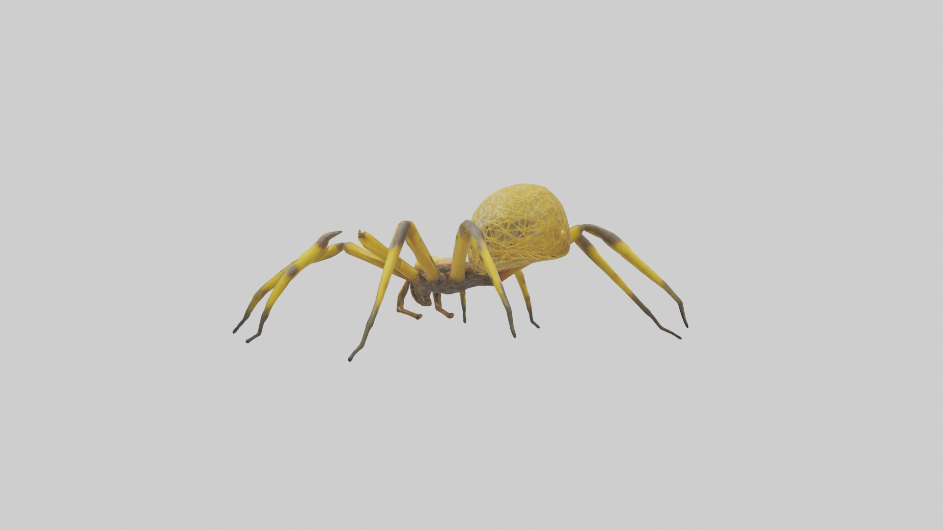 Golden OrbWeaver weaving web model Low-poly 3D model_1