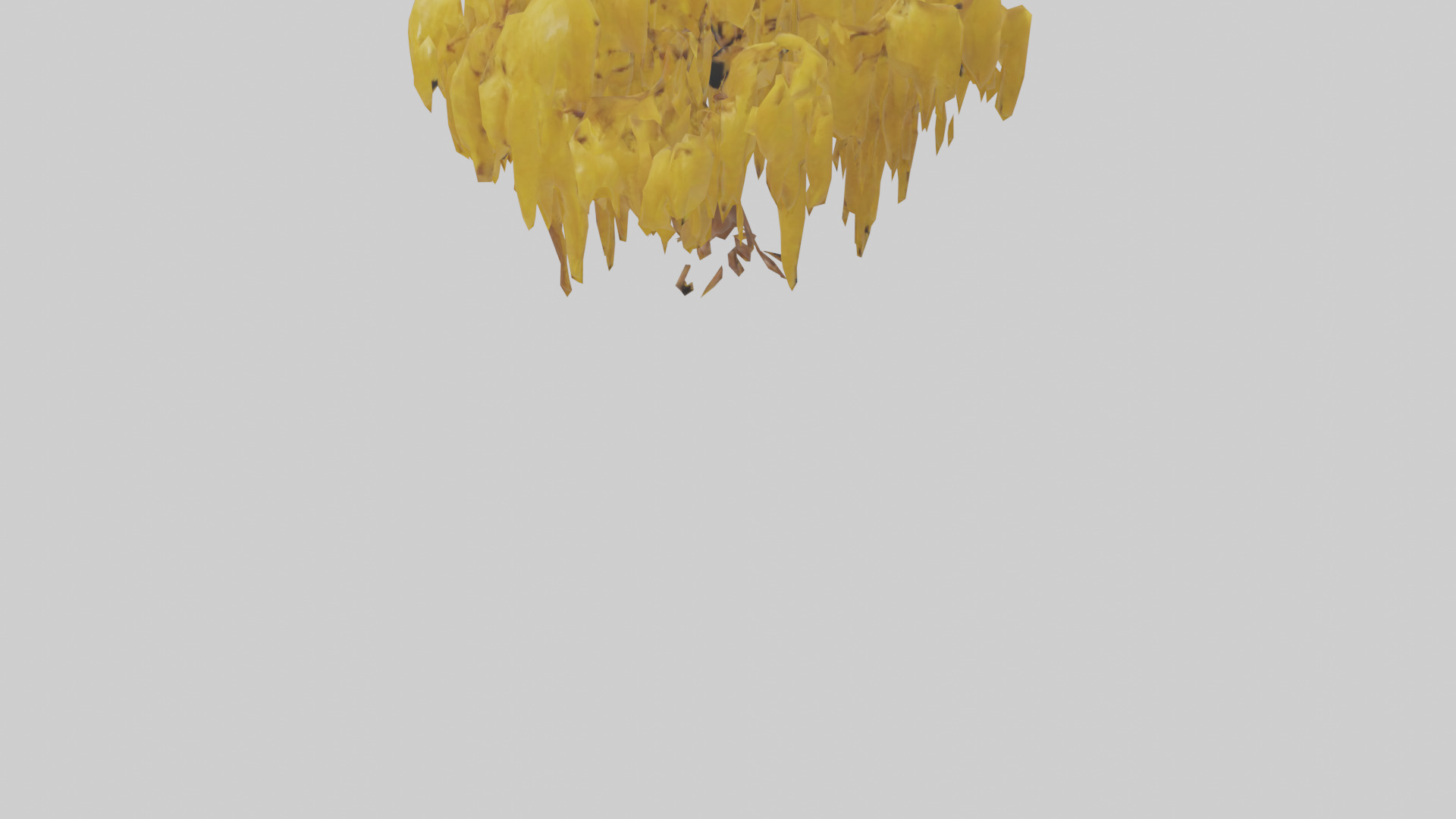 Golden Rain tree model Low-poly 3D model_5