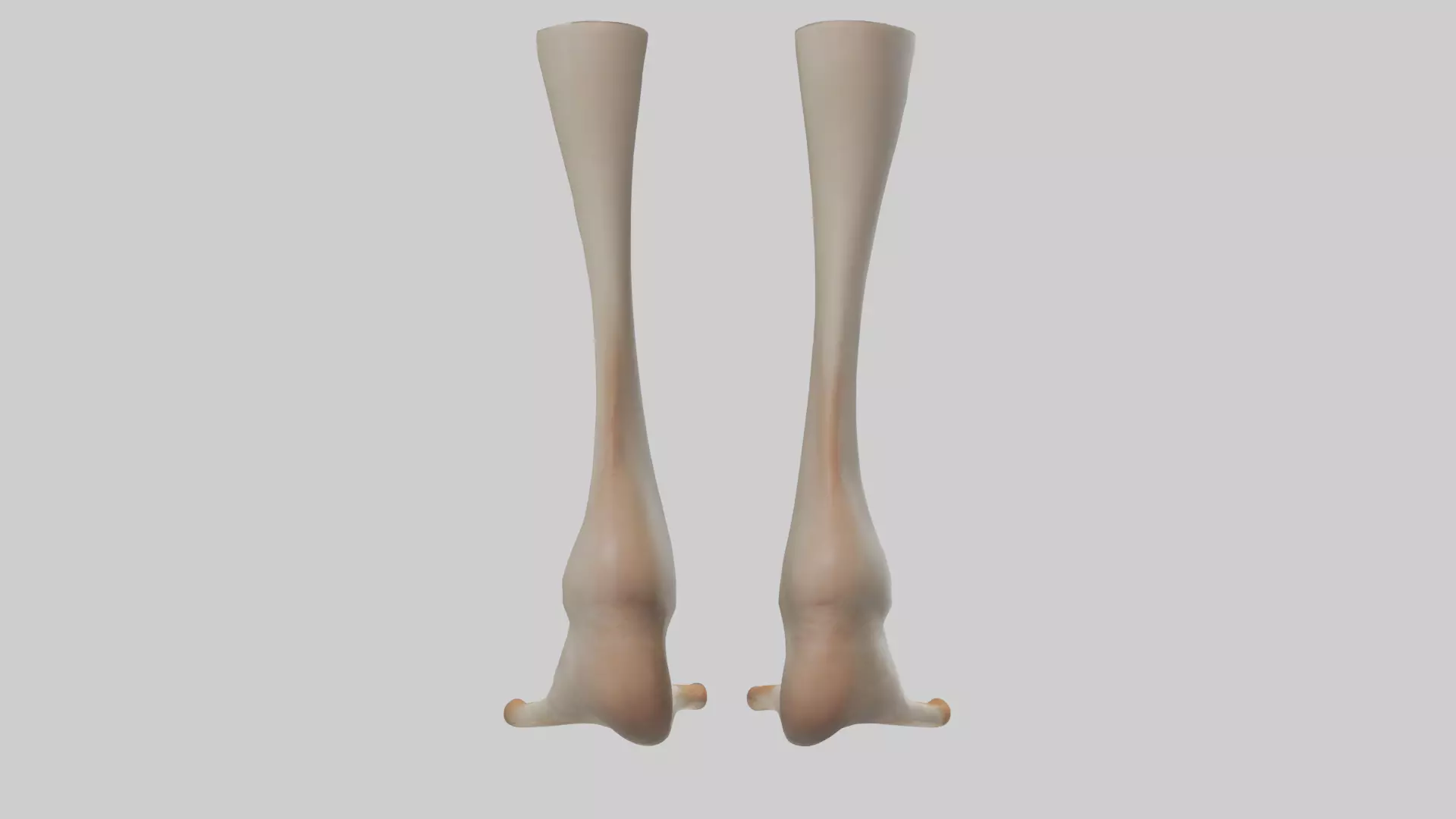 Goose Feet Model Low-poly 3D model_0