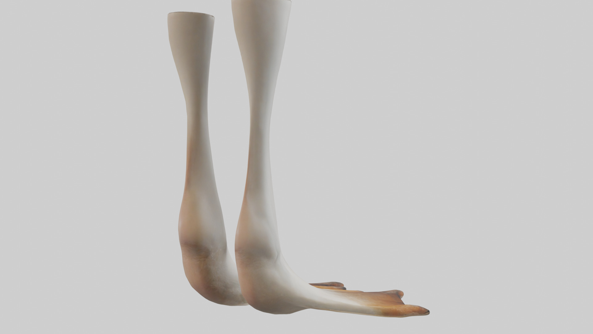 Goose Feet Model Low-poly 3D model_2