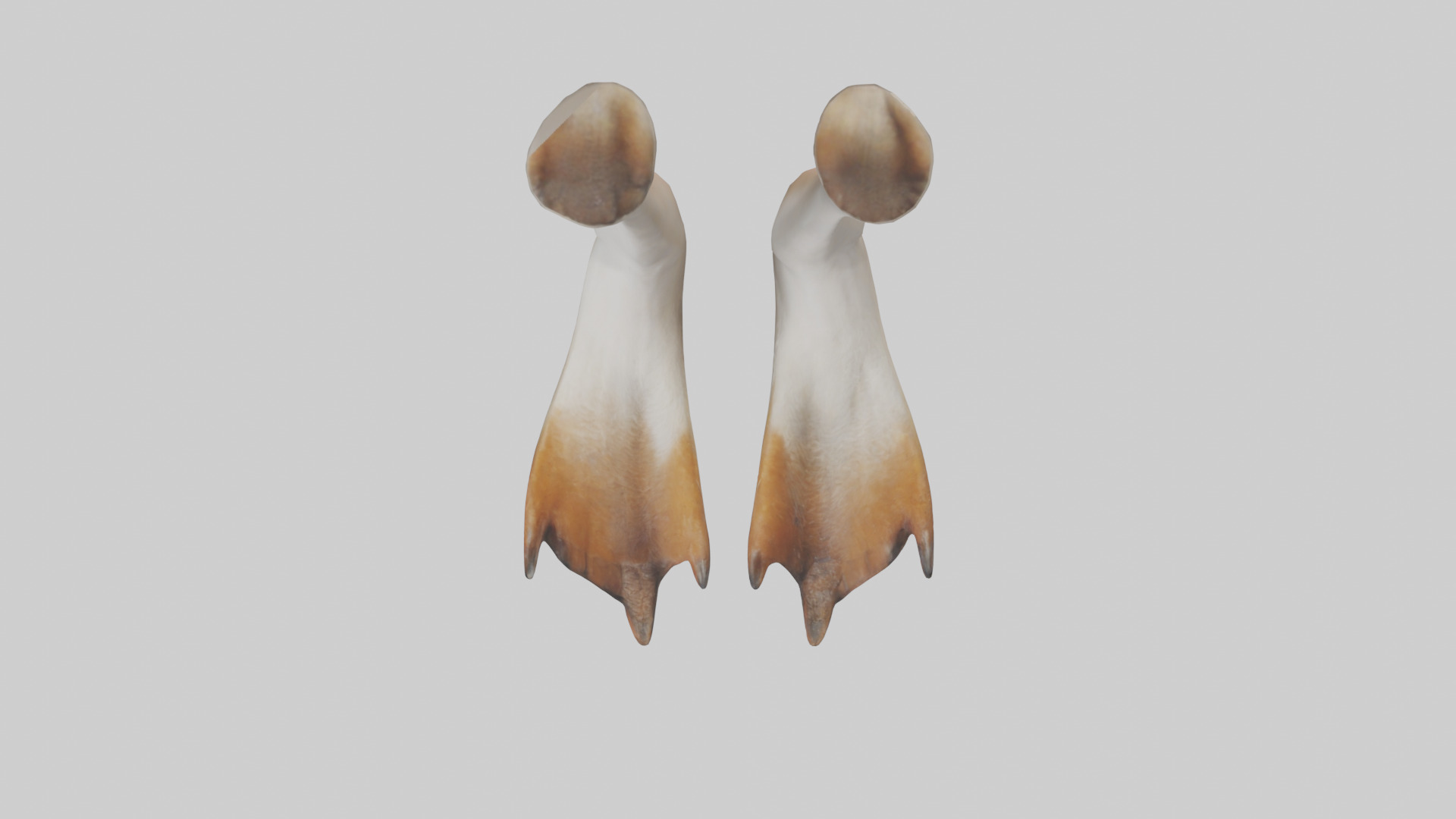 Goose Feet Model Low-poly 3D model_14