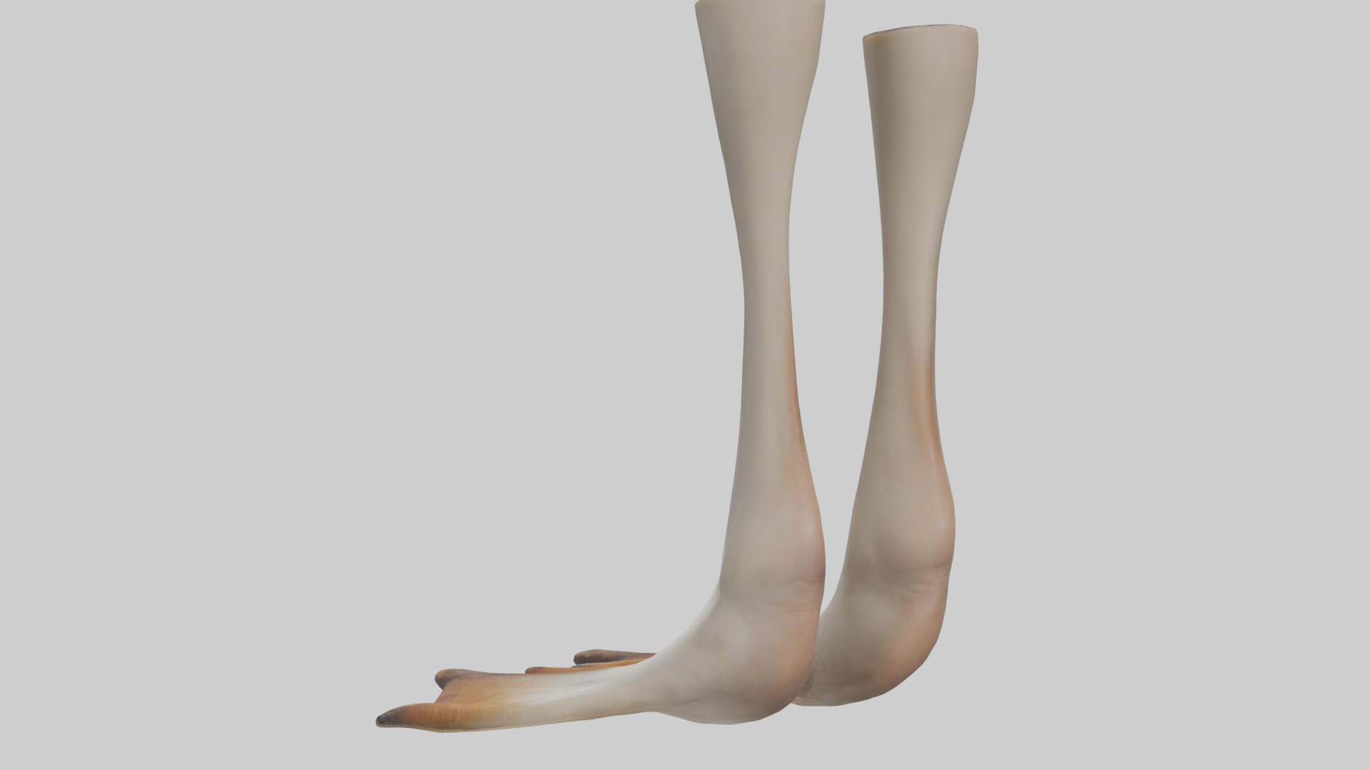 Goose Feet Model Low-poly 3D model_1