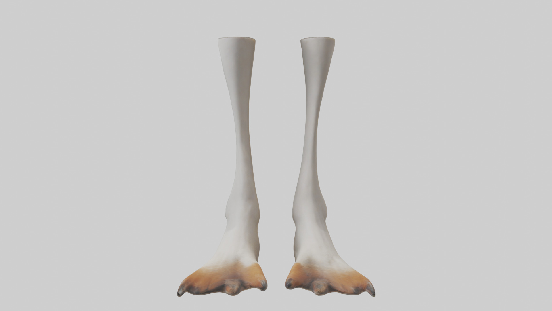 Goose Feet Model Low-poly 3D model_9