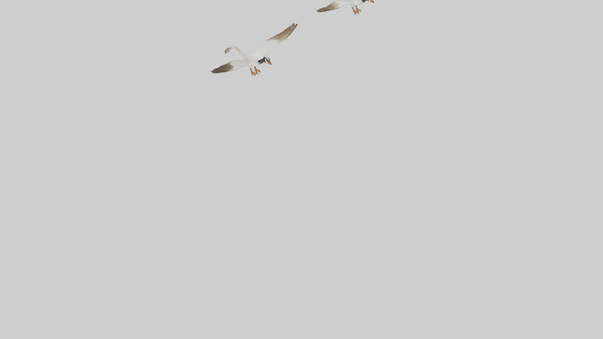 Goose flying in formation model Low-poly 3D model_3