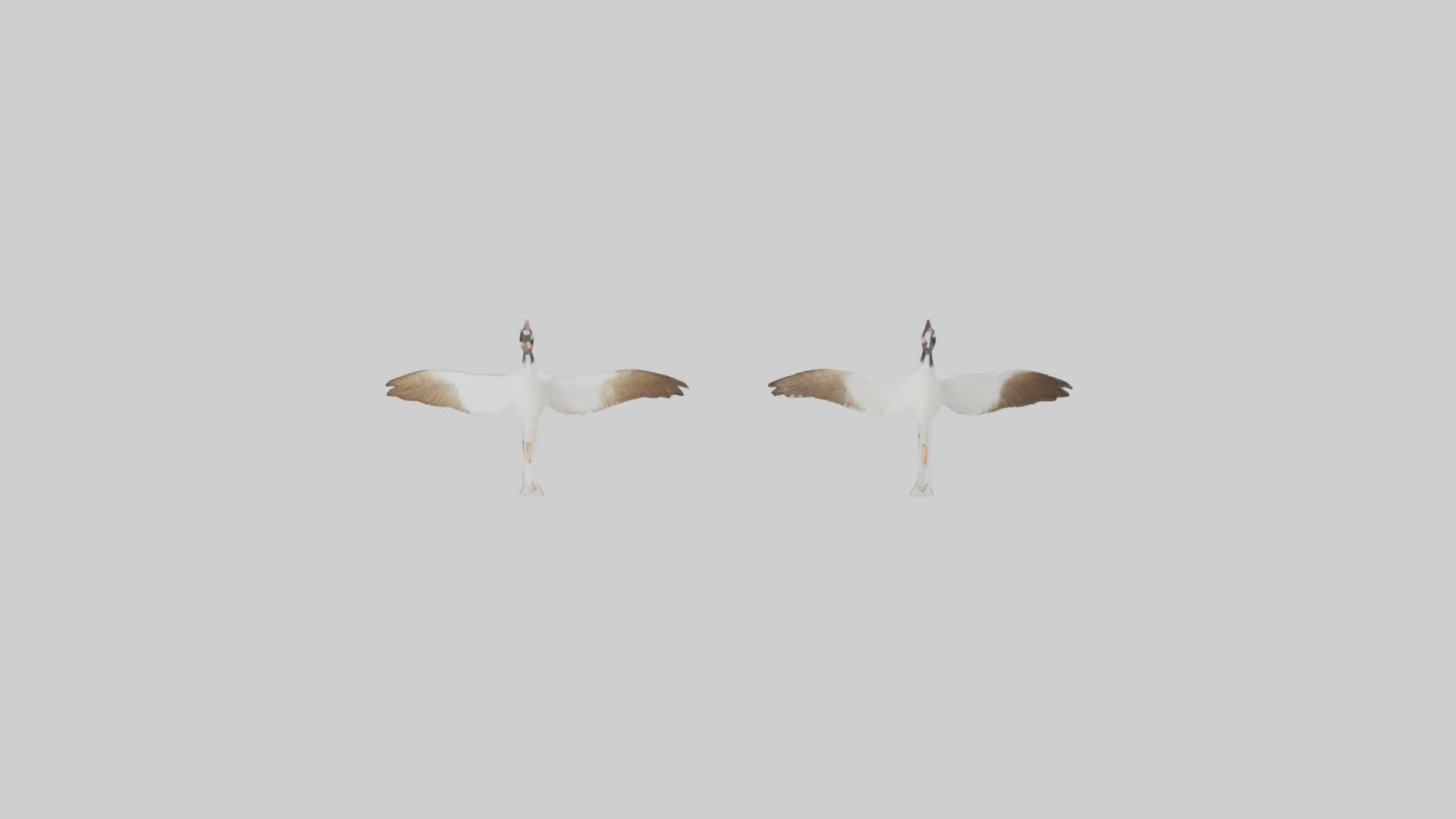 Goose flying in formation model Low-poly 3D model_14