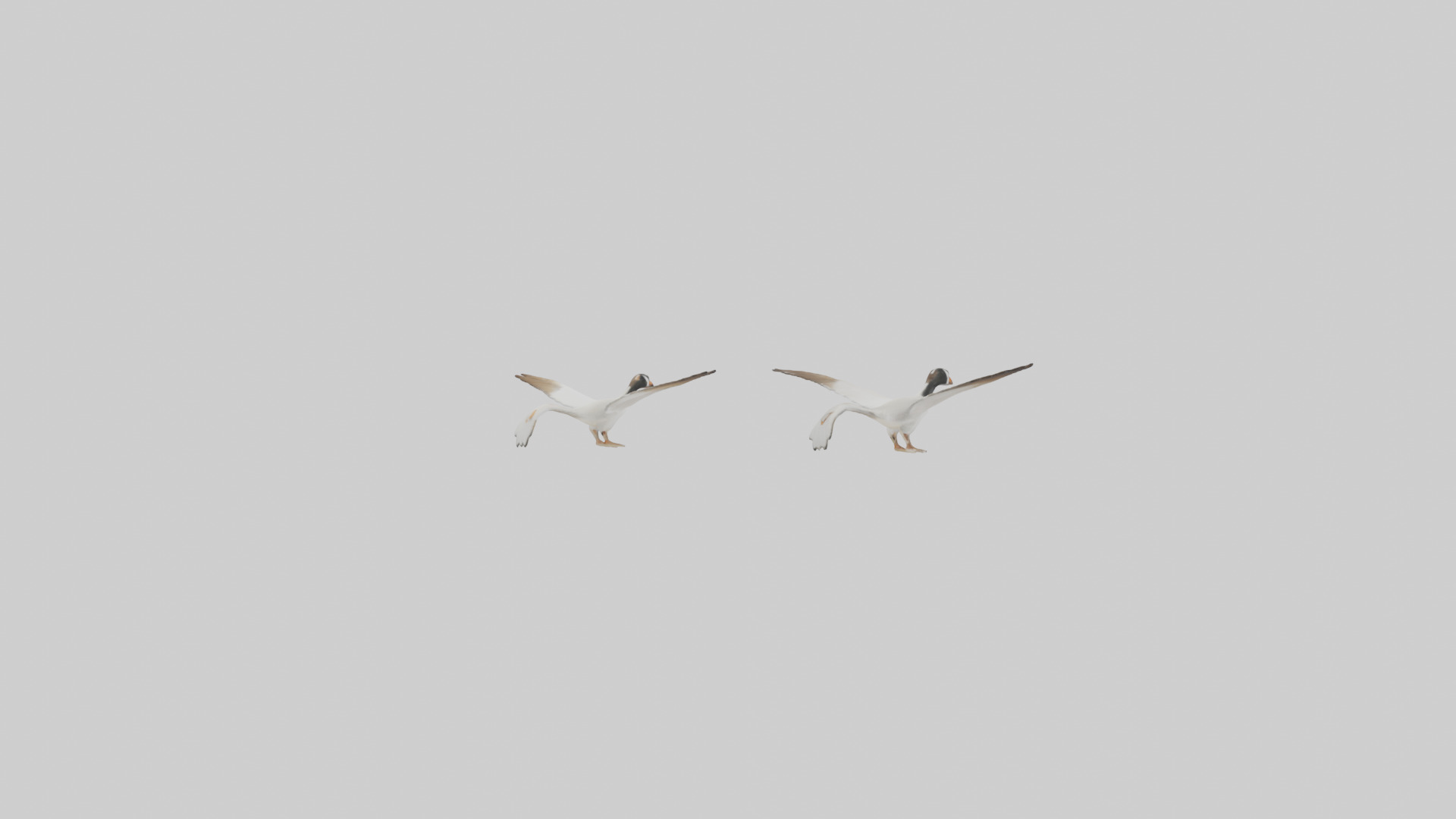 Goose flying in formation model Low-poly 3D model_8
