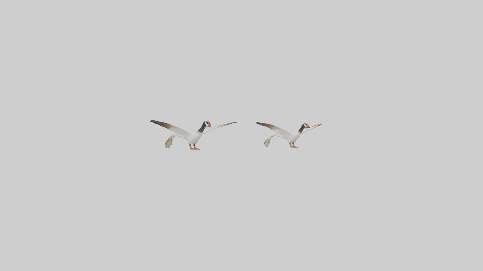 Goose flying in formation model Low-poly 3D model_1