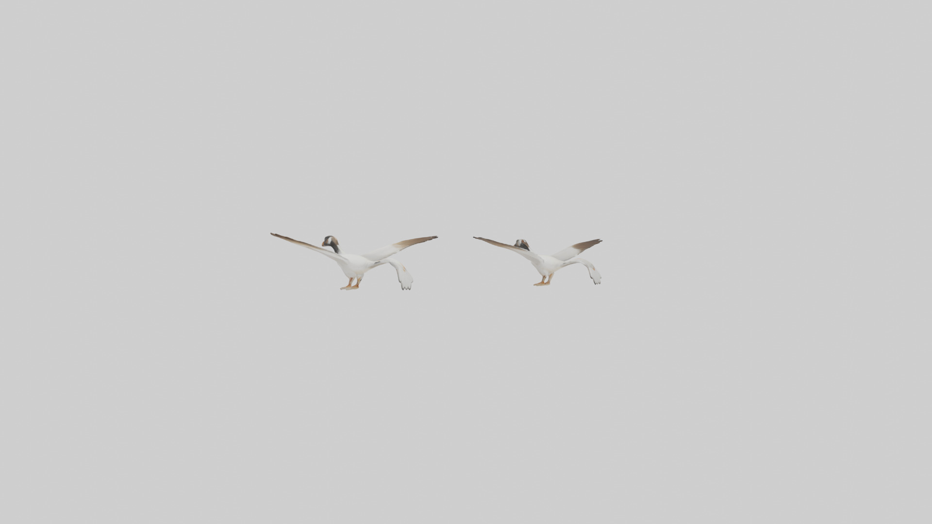 Goose flying in formation model Low-poly 3D model_11
