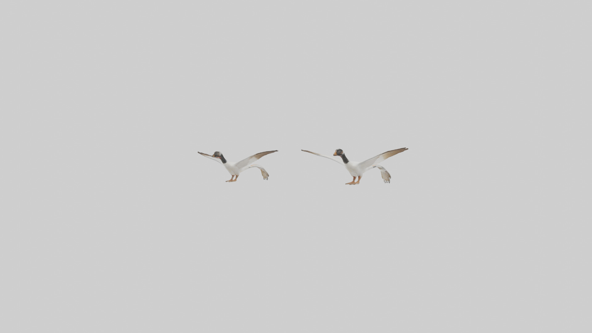 Goose flying in formation model Low-poly 3D model_2