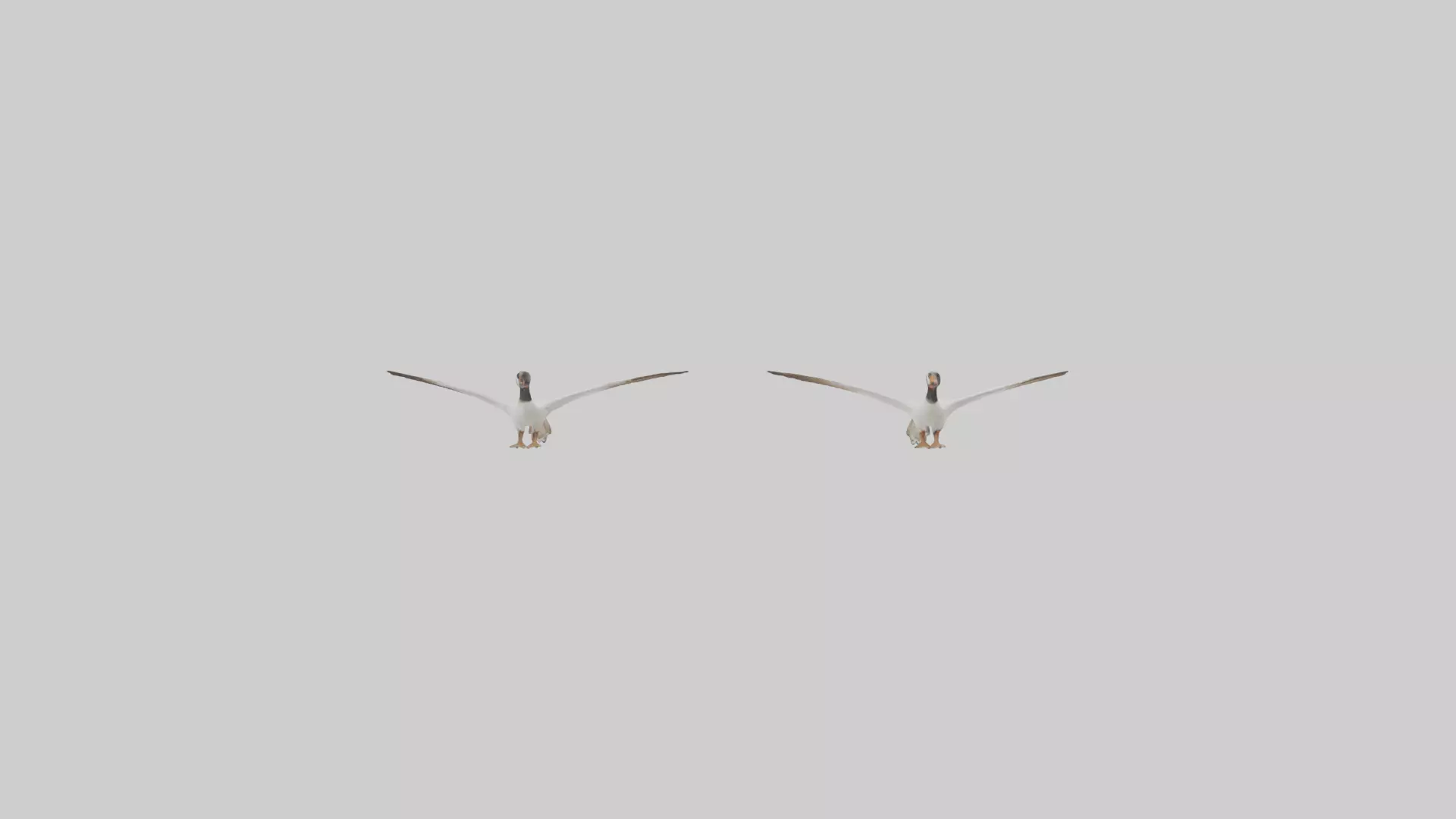 Goose flying in formation model Low-poly 3D model_0
