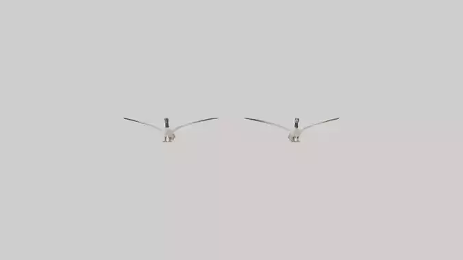 Goose flying in formation model