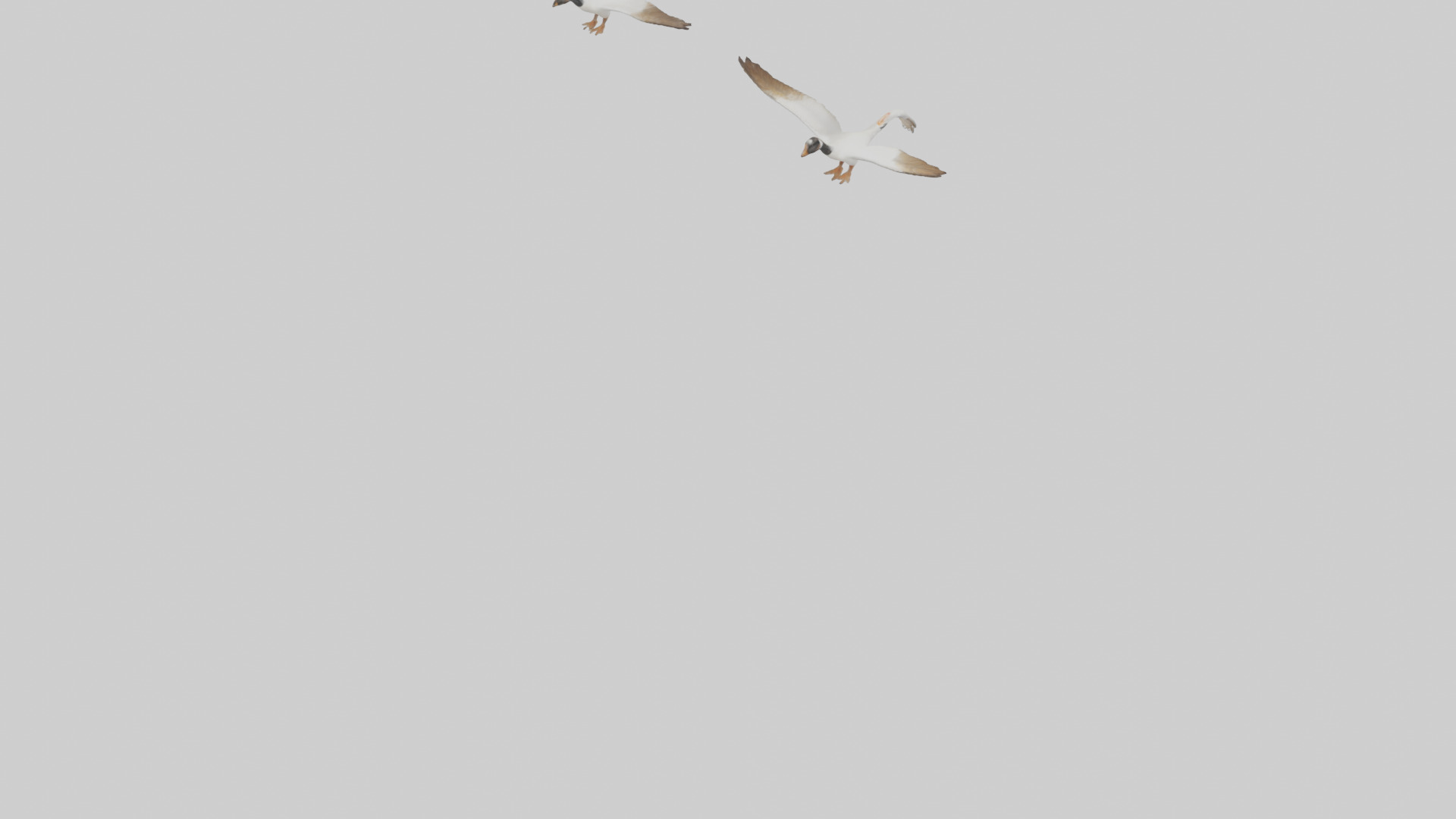 Goose flying in formation model Low-poly 3D model_4