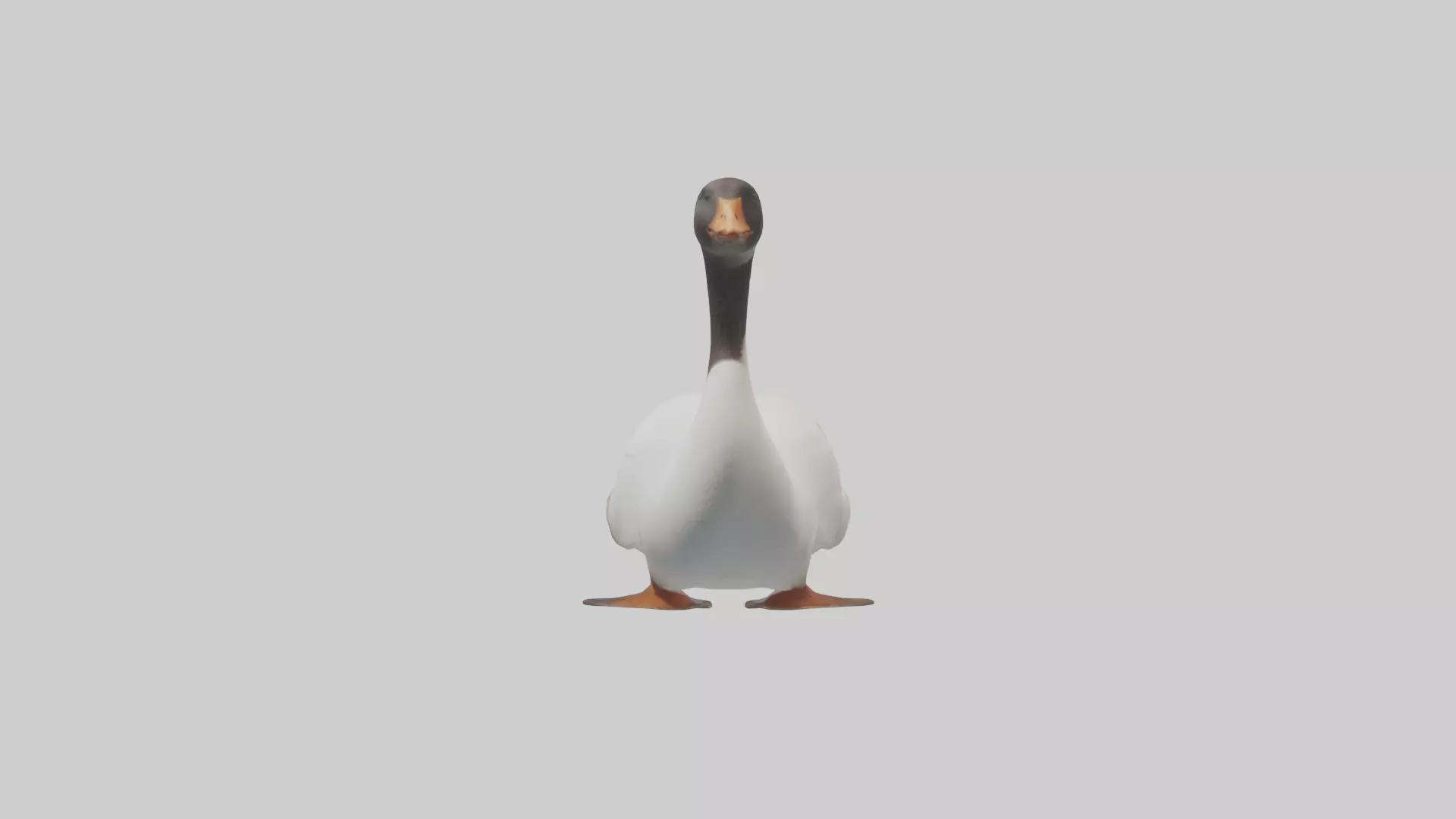 Goose swimming model Low-poly 3D model_0