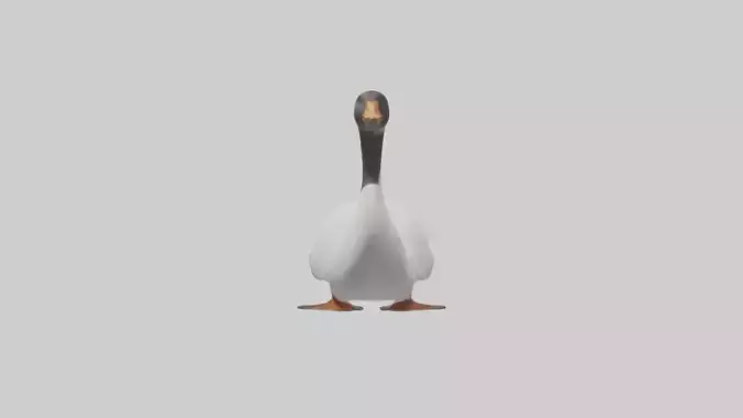 Goose swimming model