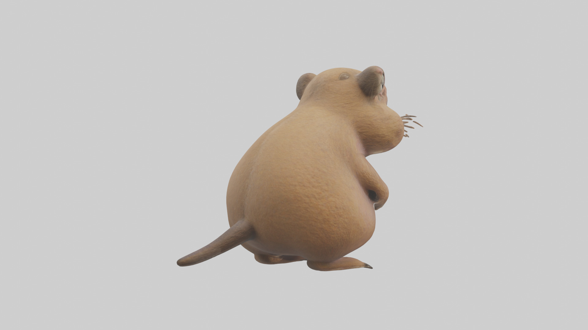 Gopher standing upright model Low-poly 3D model_2