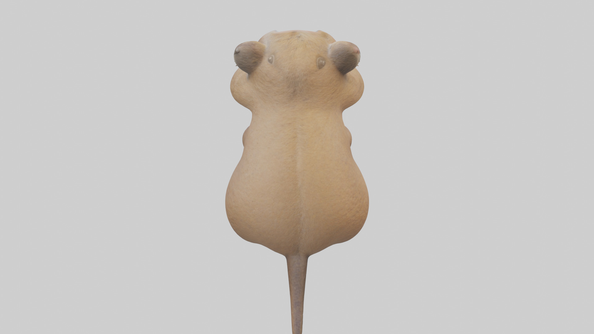 Gopher standing upright model Low-poly 3D model_15