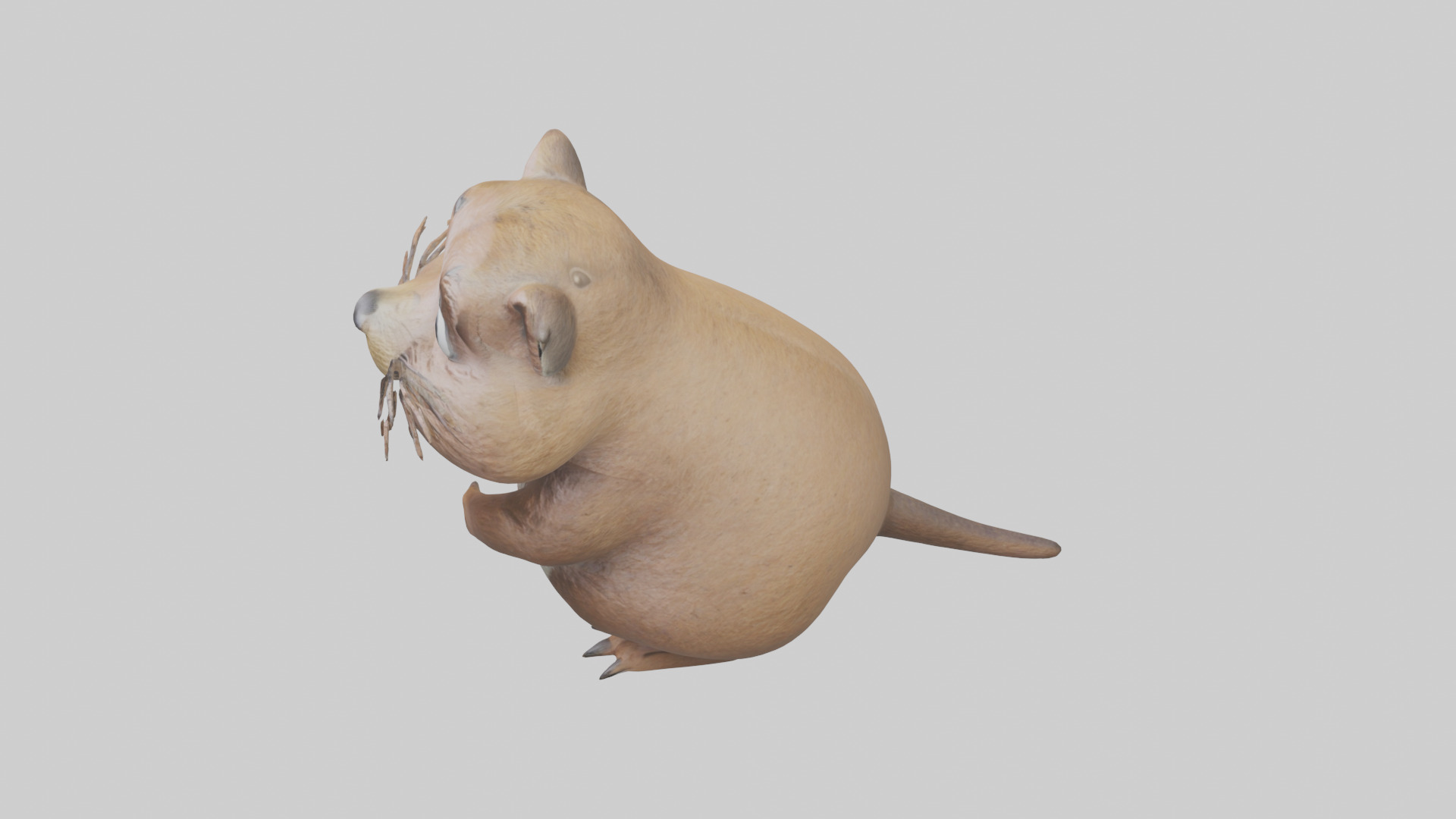 Gopher standing upright model Low-poly 3D model_17