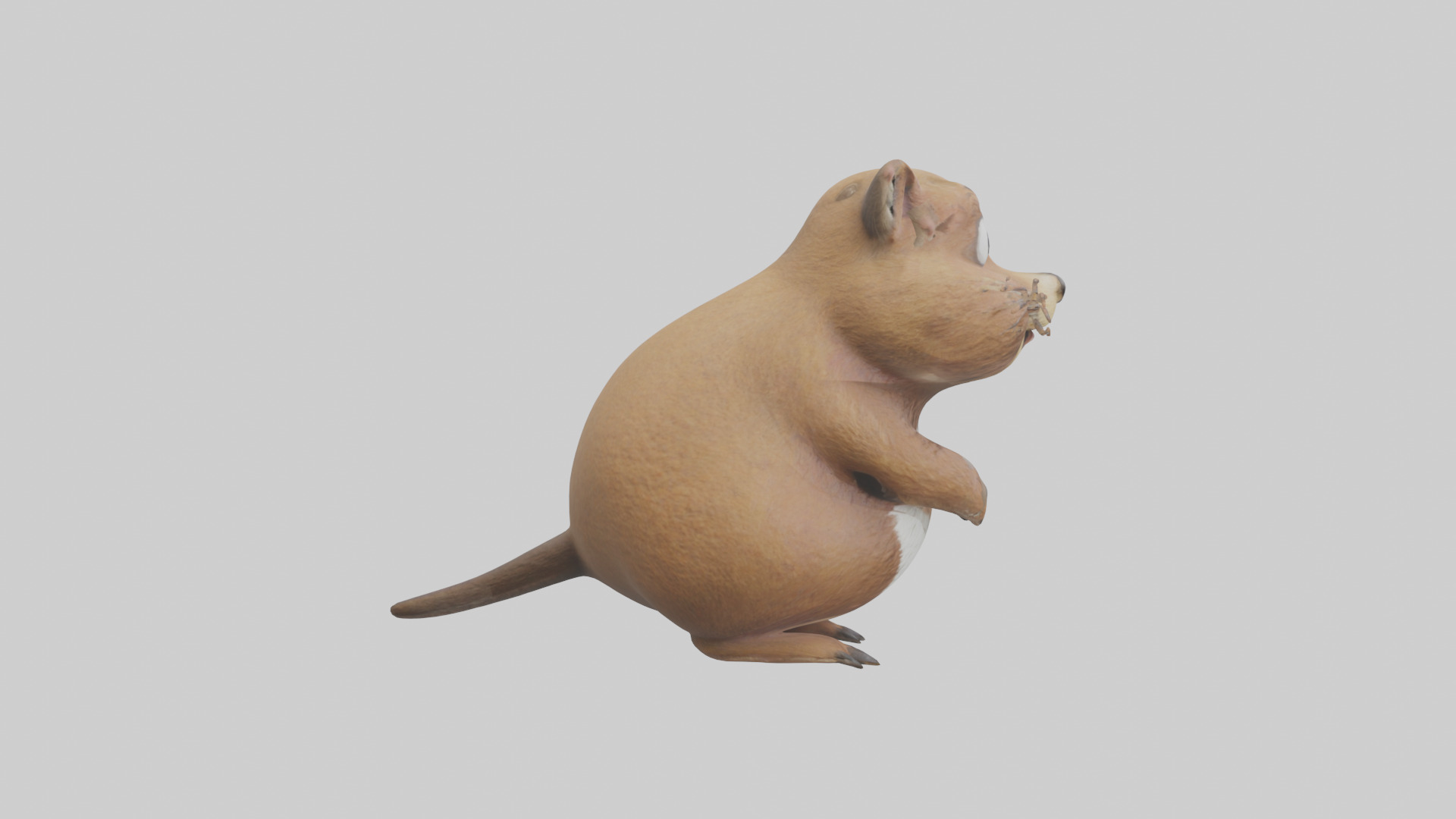 Gopher standing upright model Low-poly 3D model_13