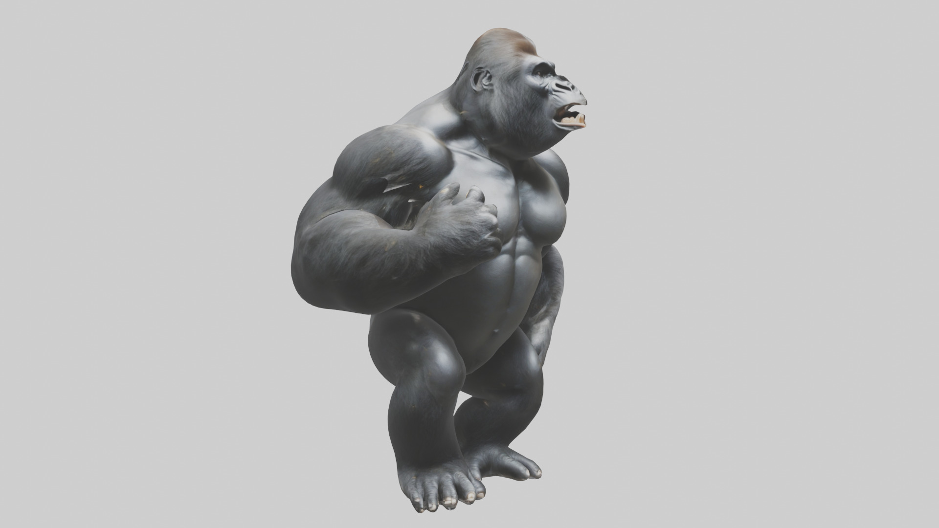 Gorilla beating chest model Low-poly 3D model_11