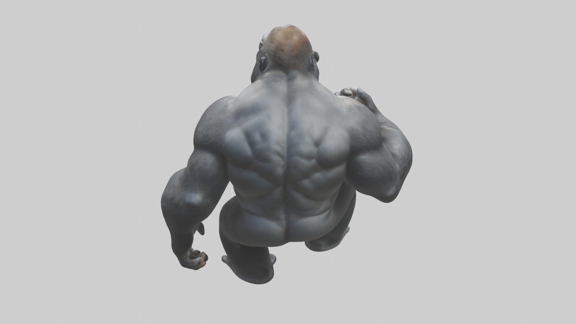 Gorilla beating chest model Low-poly 3D model_15
