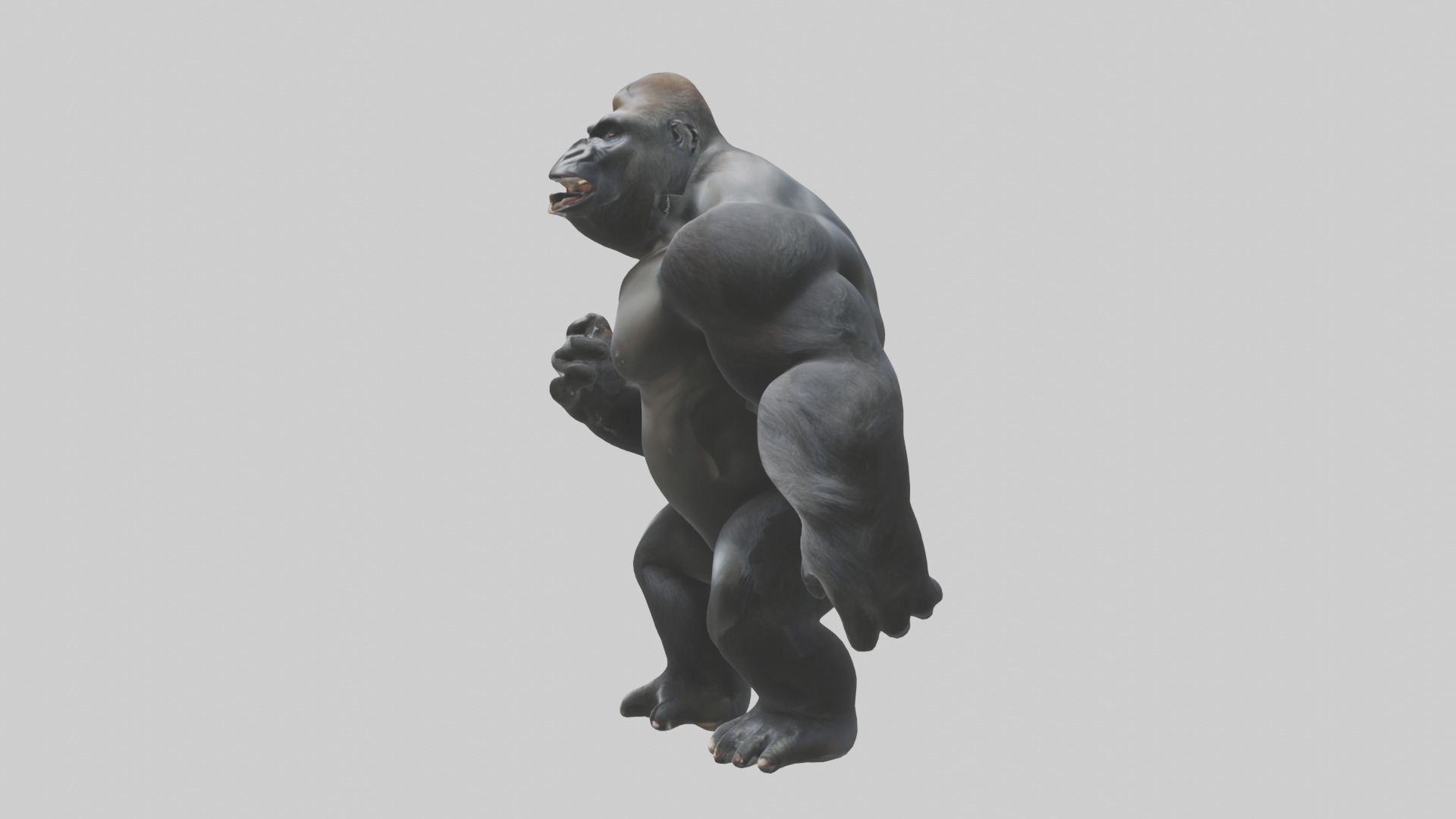 Gorilla beating chest model Low-poly 3D model_12