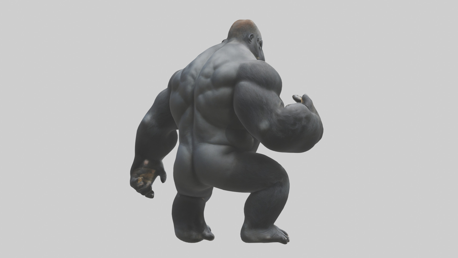 Gorilla beating chest model Low-poly 3D model_2