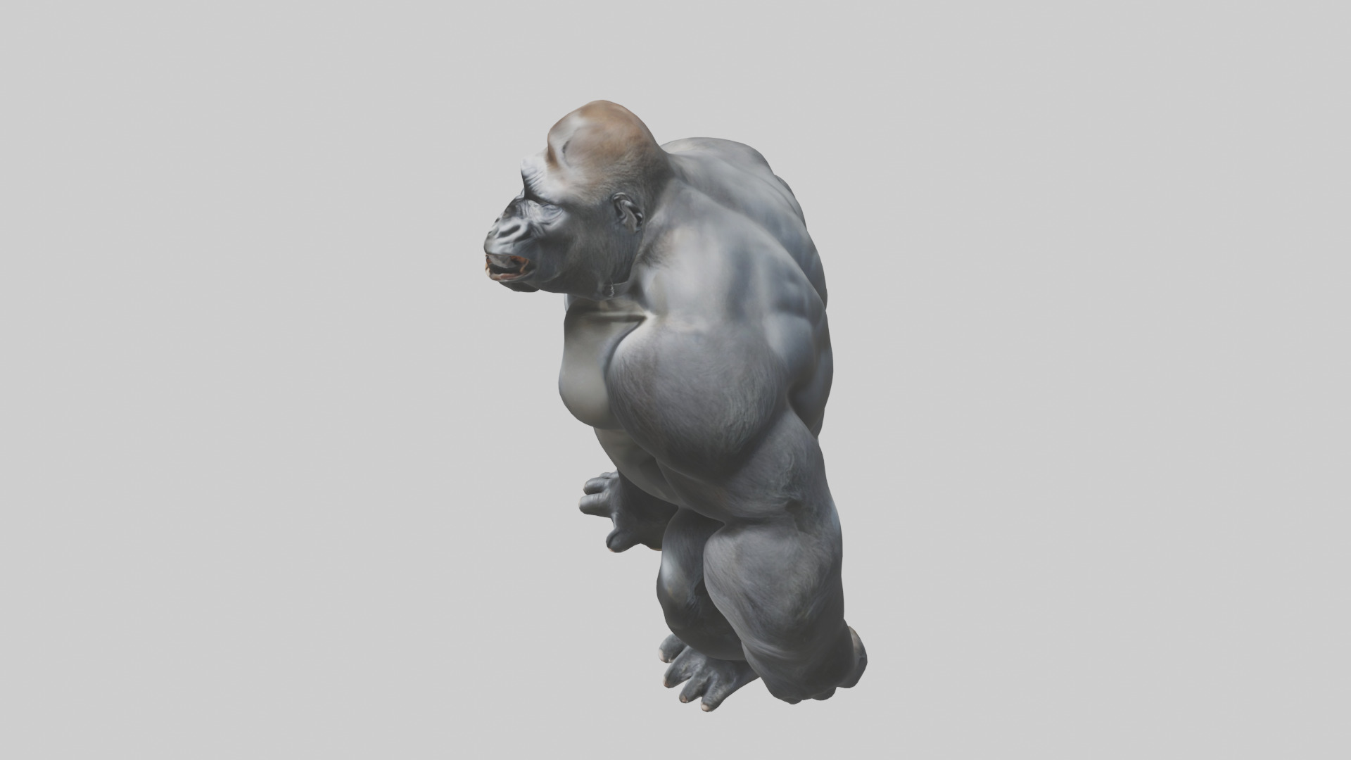 Gorilla beating chest model Low-poly 3D model_17