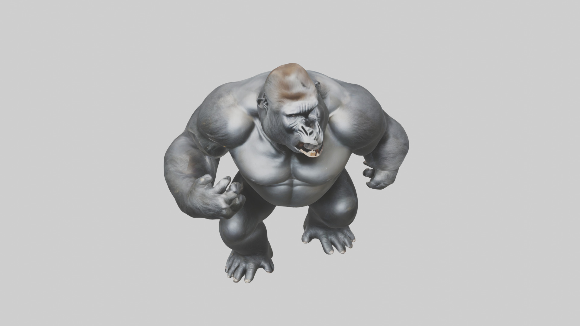 Gorilla beating chest model Low-poly 3D model_16