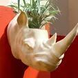 Rhino head planter succulent pot flower vase STL 3D print model_1