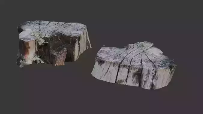 Tree Stump  3D Scanned Low-Poly Model