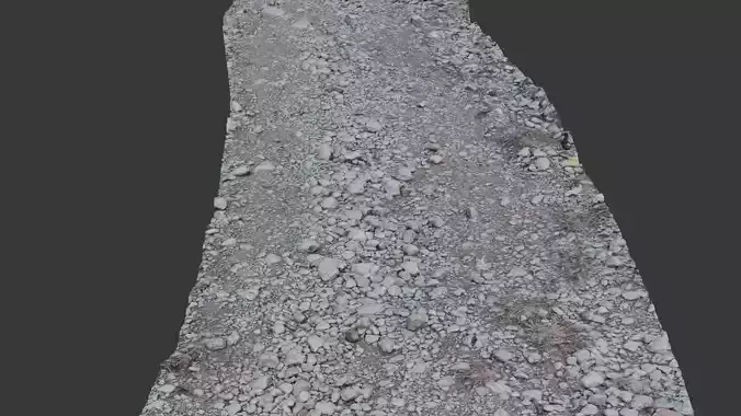 Gravel Path 3D Scanned Low-Poly Model Low-poly 3D model