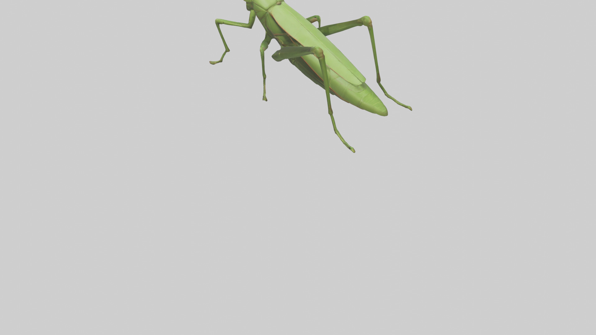 Grasshopper hopping model Low-poly 3D model_3