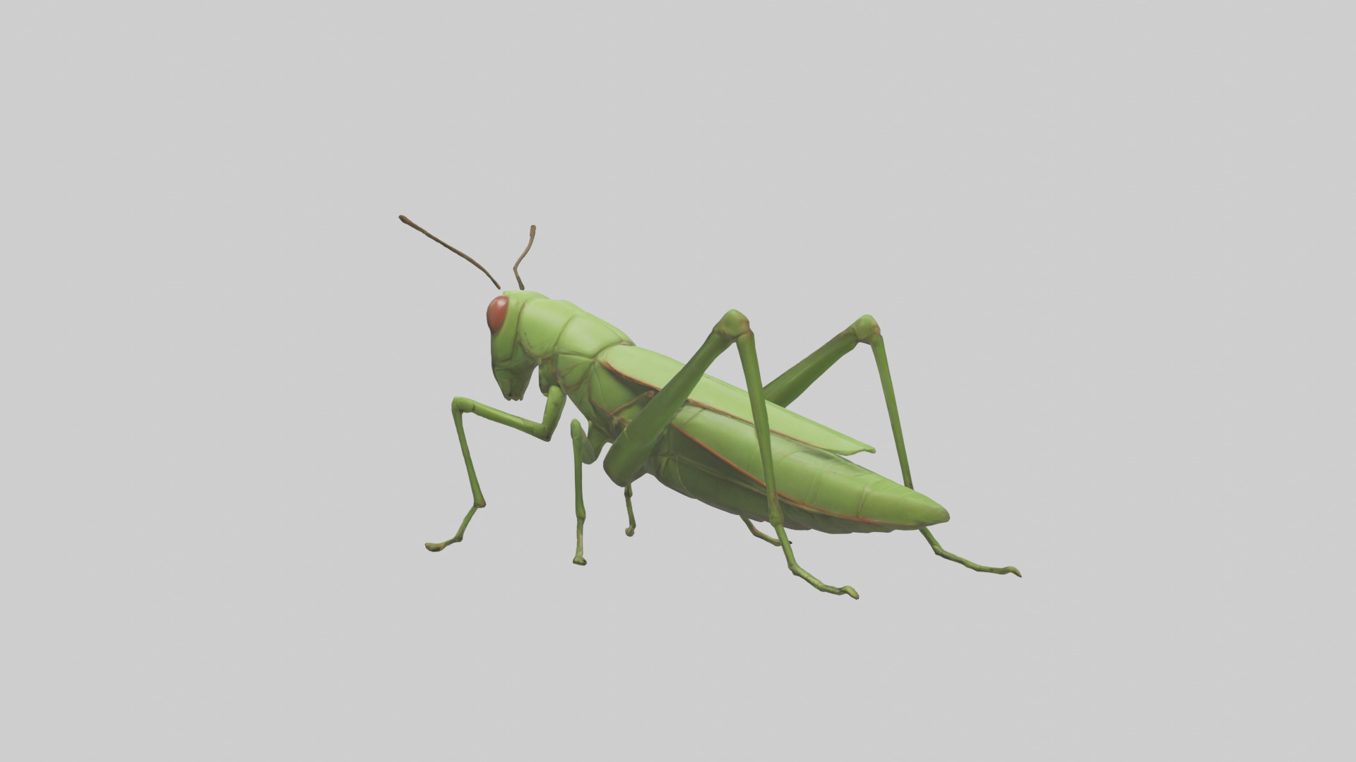 Grasshopper hopping model Low-poly 3D model_1