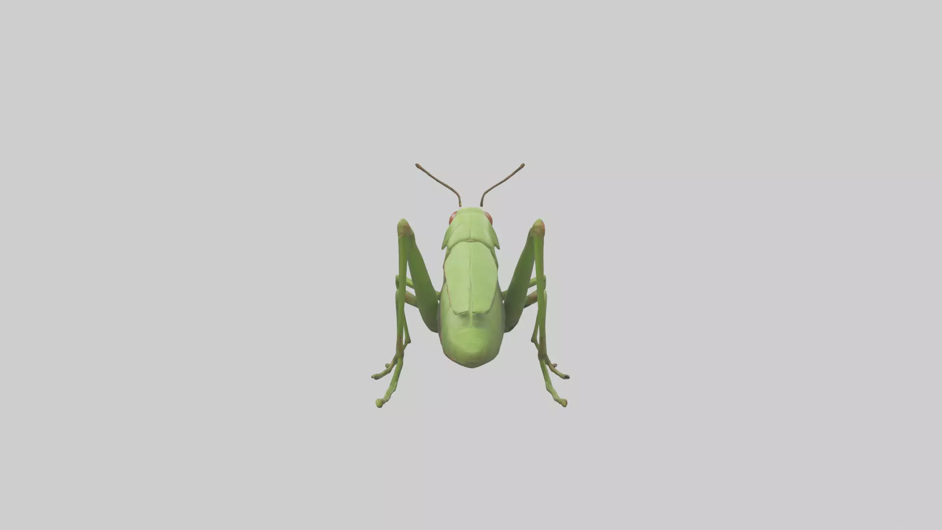 Grasshopper hopping model Low-poly 3D model_0