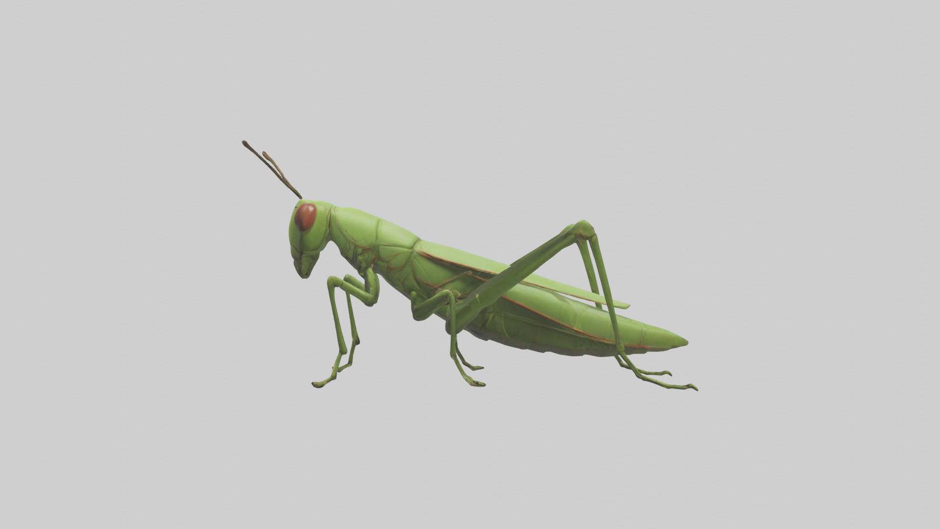 Grasshopper hopping model Low-poly 3D model_12
